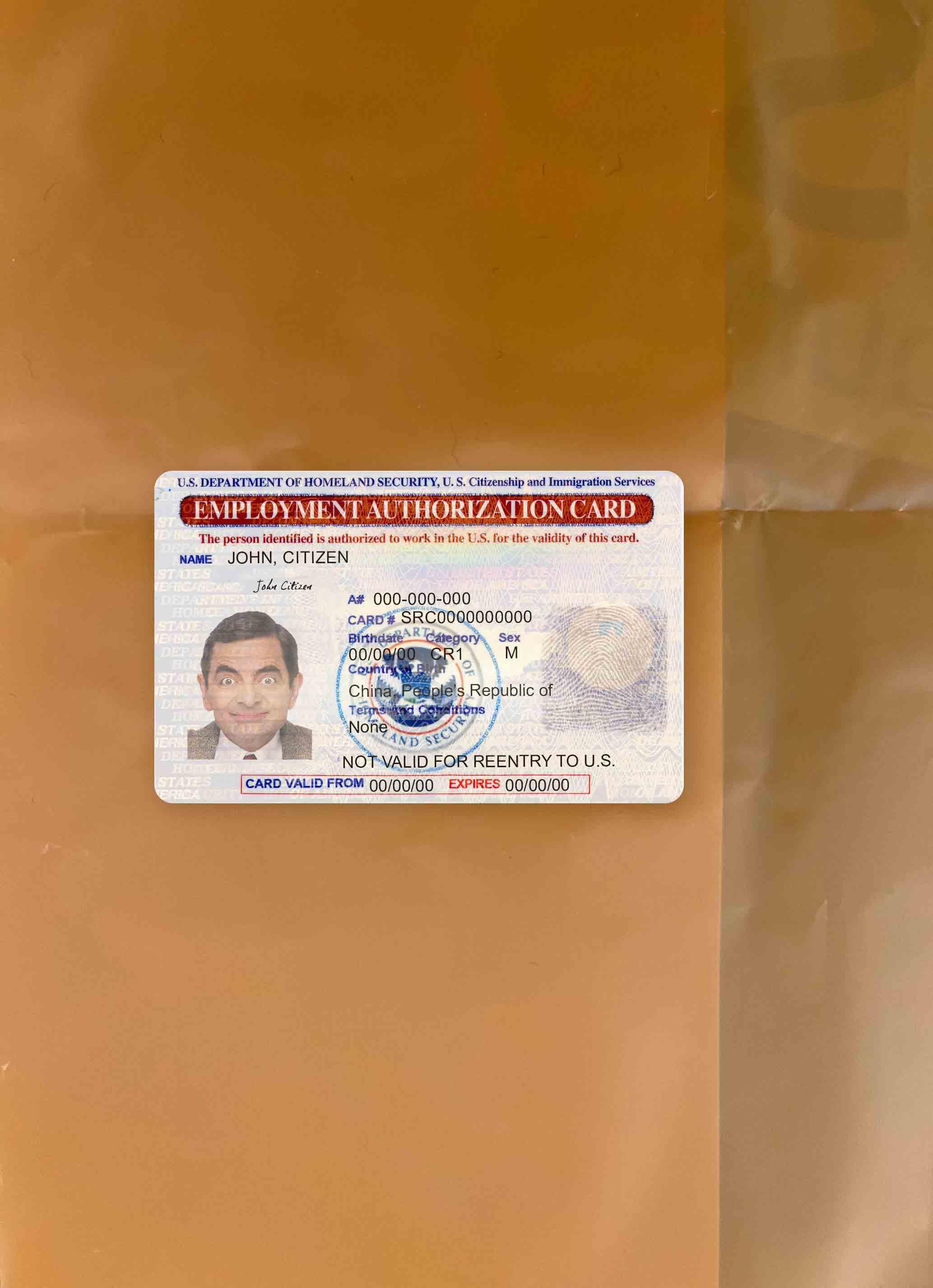 Realistic United States employment authorization card photolook example